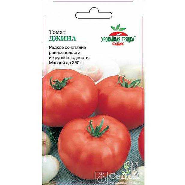 Томат джина: характеристика и особенности выращивания сорта