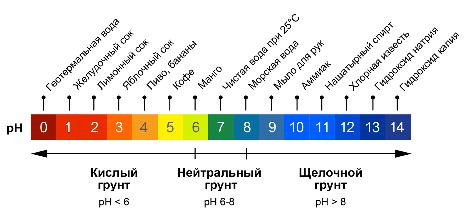 Как подготовить землю для рассады томатов