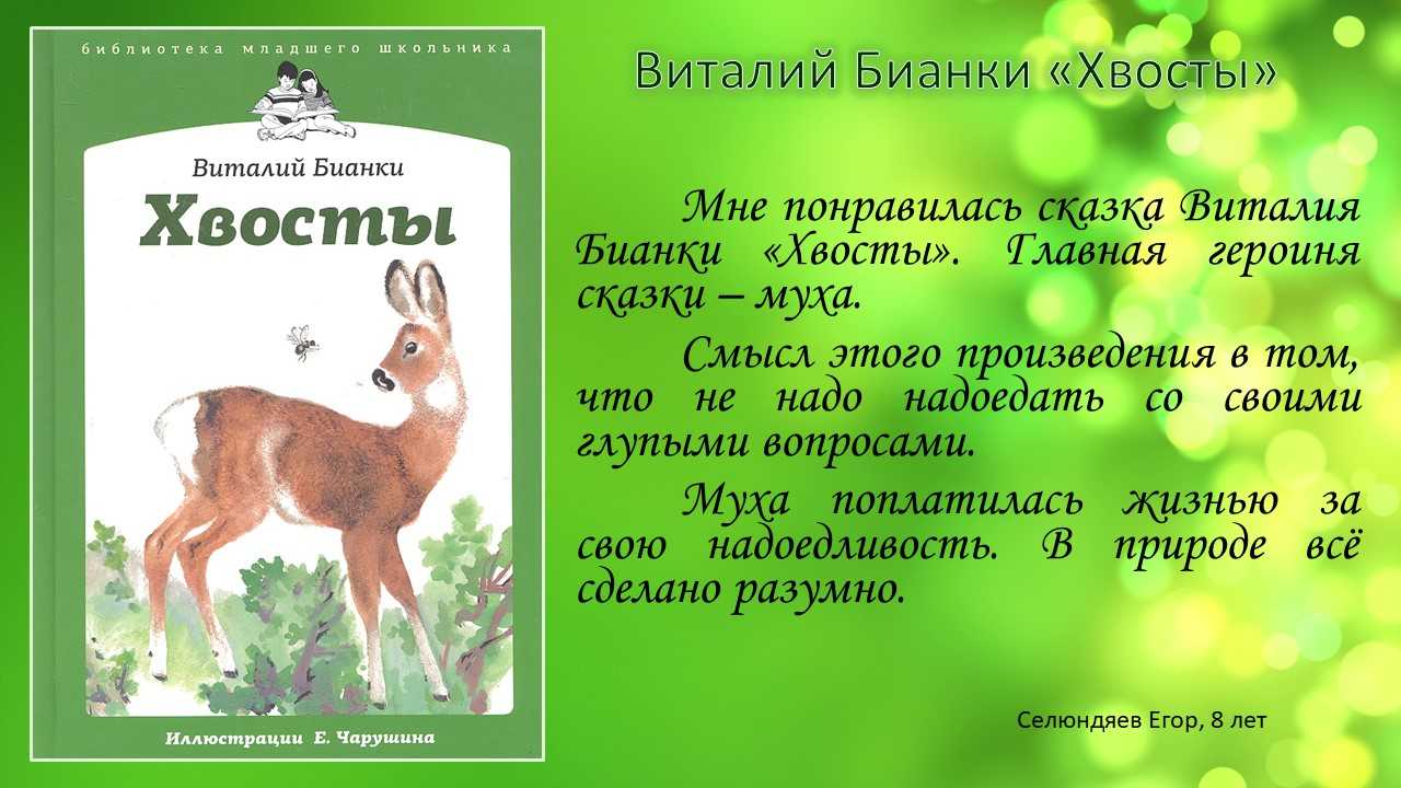 Описание комнатных и садовых видов и сортов цветка Лисий хвост с фото Узнайте, как ухаживать за этим растением, а также о способах размножения и лечебных свойствах акалифы