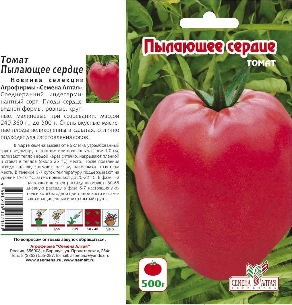 Сладкий гигант — томат «розовый мед»: описание сорта и его характеристики, фото и особенности выращивания
