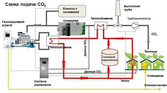 Co₂ для аквариума: обзор способов и оборудования, для чего это нужно