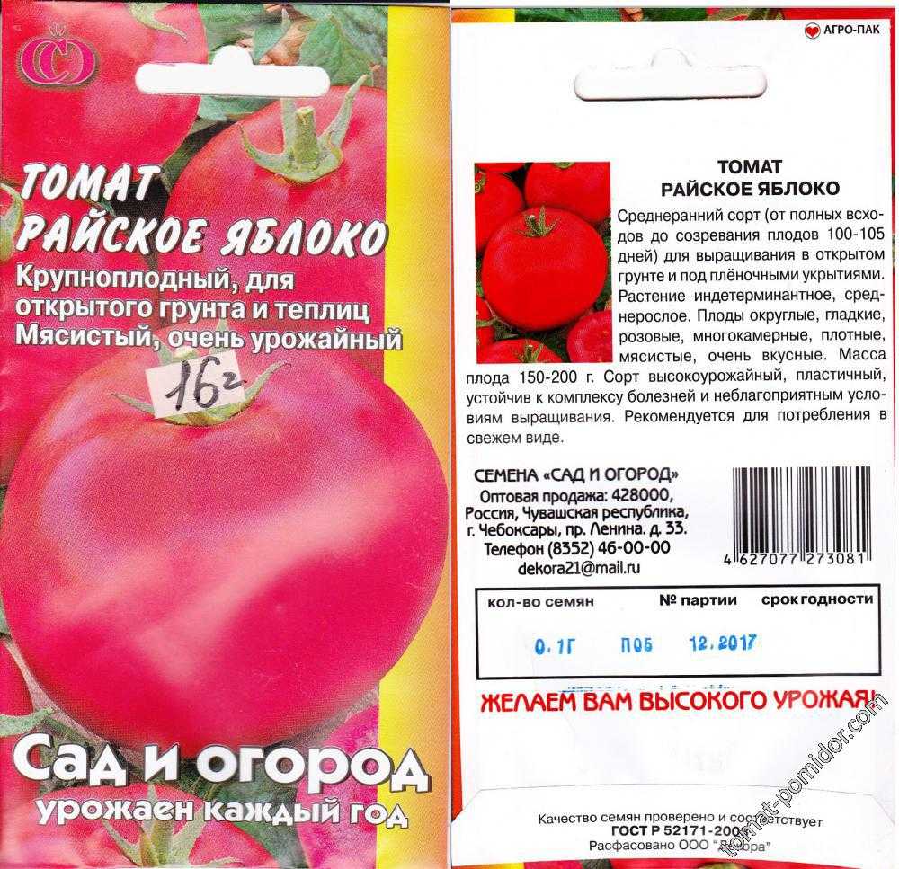 Томат яблоки на снегу: описание сорта, отзывы, фото, урожайность