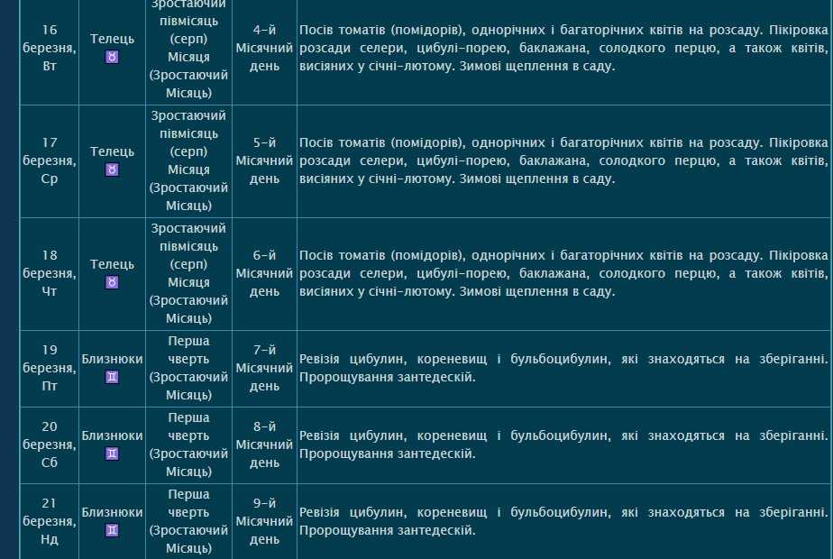 Выращивание рассады помидор на дому: когда сажать семена томатов и как их вырастить