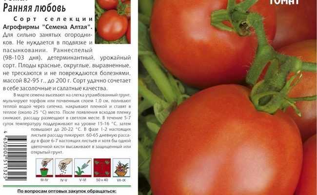 Томат Настенька Отзывы Фото Урожайность Характеристика