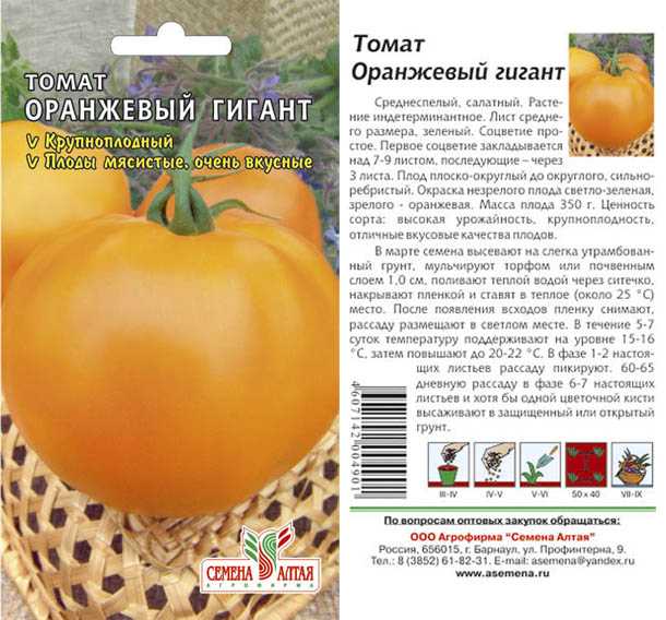 Какие сорта помидор оранжевый гигант