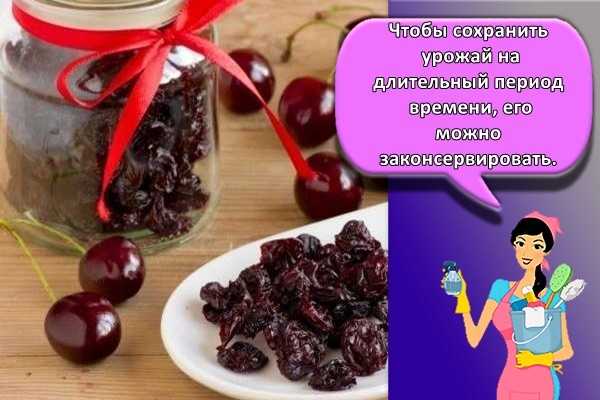 Заготовки из вишни: 11 лучших пошаговых рецептов приготовления на зиму