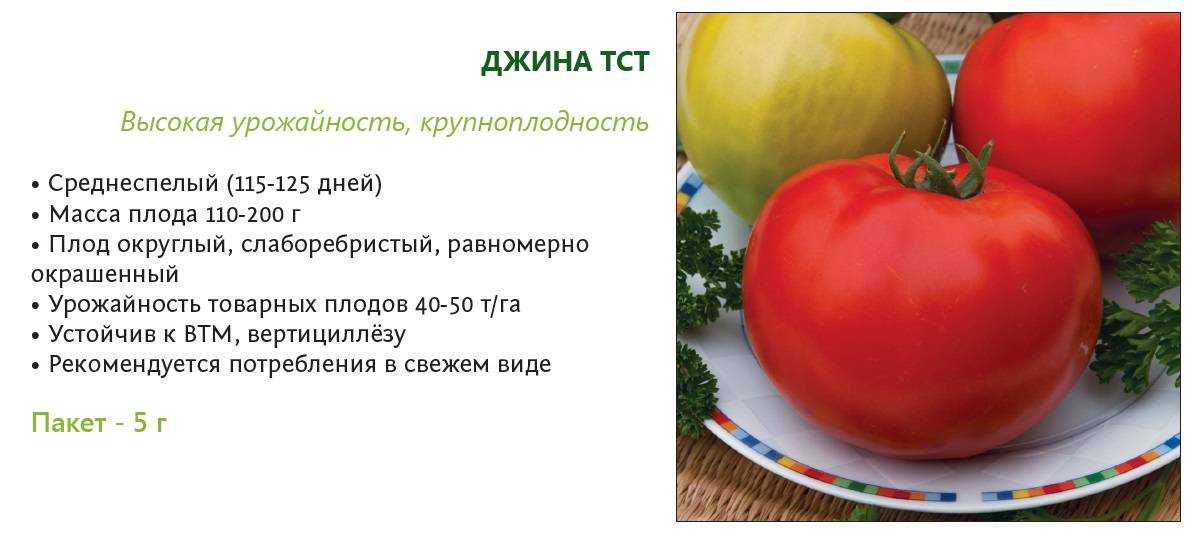 Необыкновенный сорт томатов — японка: отзывы об урожайности, характеристики и описание помидоров