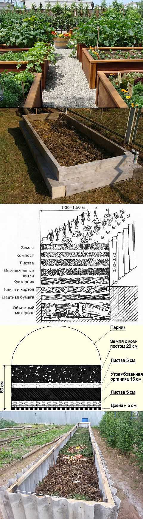 Высокие грядки своими руками пошаговая инструкция фото для начинающих
