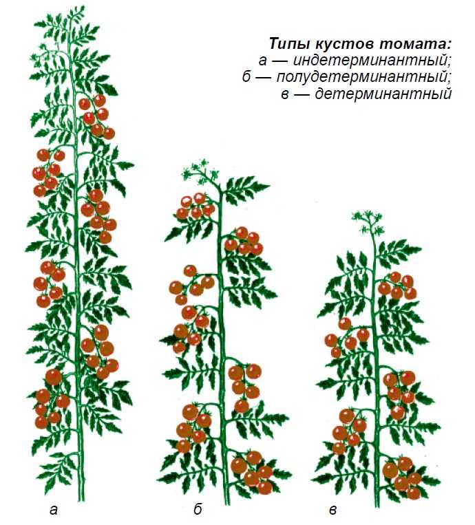 Де барао черный схема посадки