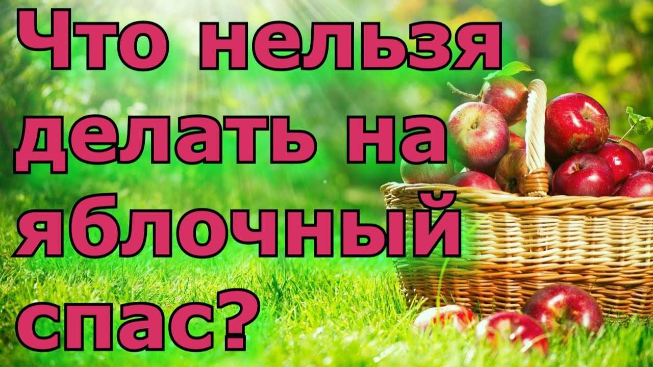 Как переработать яблоки на зиму в домашних условиях: 19 рецептов