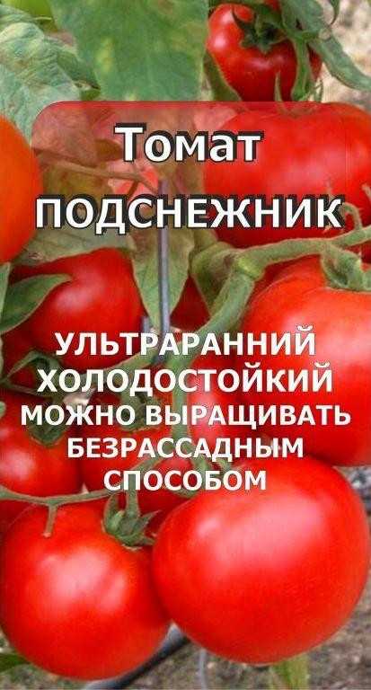 Томат подснежник: описание сорта, фото, посадка, выращивание и уход, плюсы и минусы, отзывы