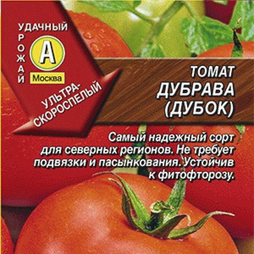Томат дубок: характеристика и описание сорта, особенности выращивания помидоров в 2022 году на гудгрунт