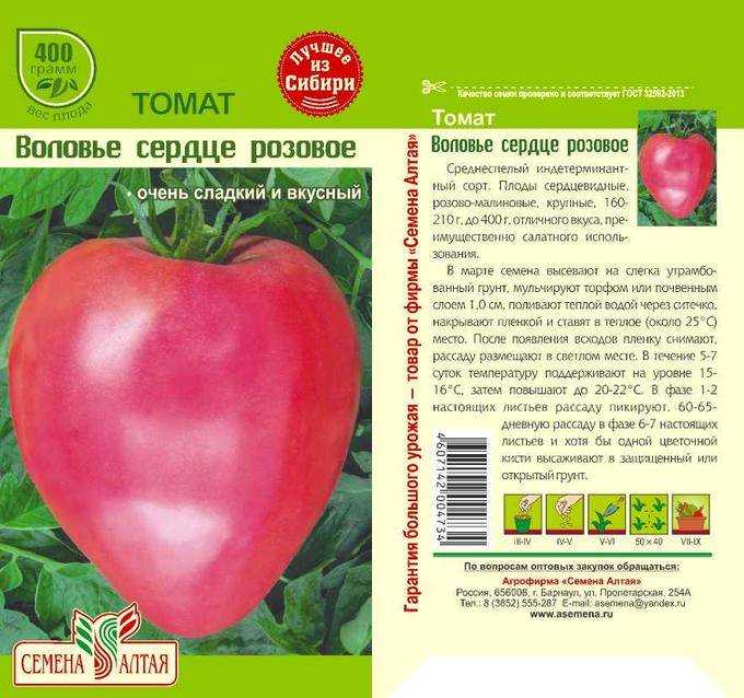 Томат «воловье ухо»: характеристика и описание сорта