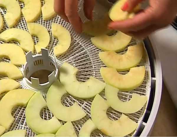 Как сушить яблоки в электросушилке – при какой температуре и сколько сушить яблоки