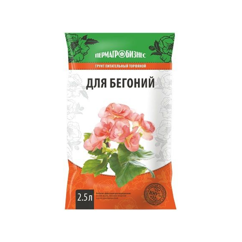 Как ухаживать за цветком бегония в домашних условиях