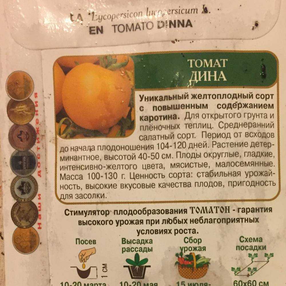 Томат дина - описание сорта, характеристика, урожайность, отзывы, фото