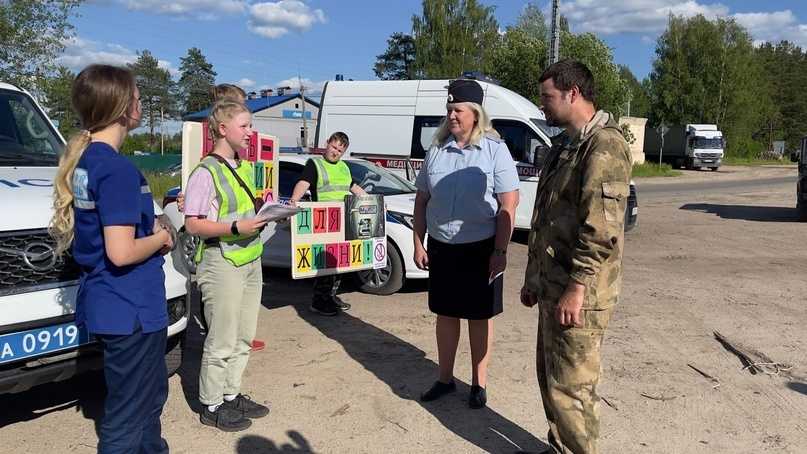 Древовидный гибискус: фото, описание, сорта, посадка и уход - sadovnikam.ru