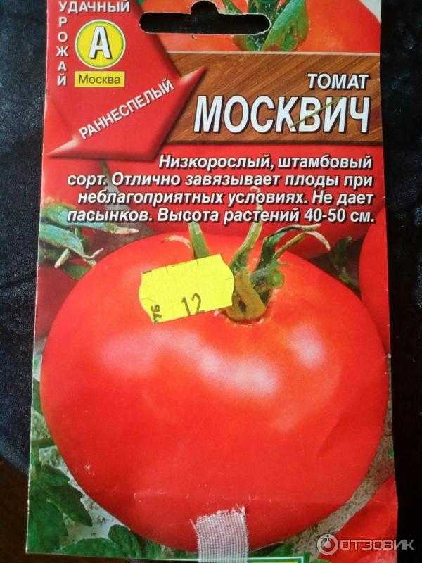 Помидоры «москвич»: проверенные годами качество, урожайность, стойкость, неприхотливость