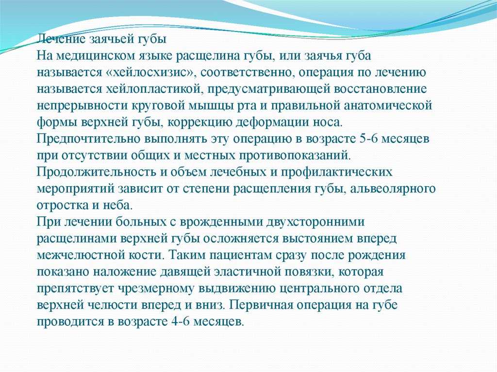 Препараты от тли на смородине: 10 самых эффективных средств | инсектициды от галловой тли на смородине