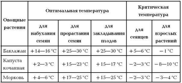 Оптимальная температура для томатов. минимальная и максимальная температура. какую температуру выдерживает рассада томатов.