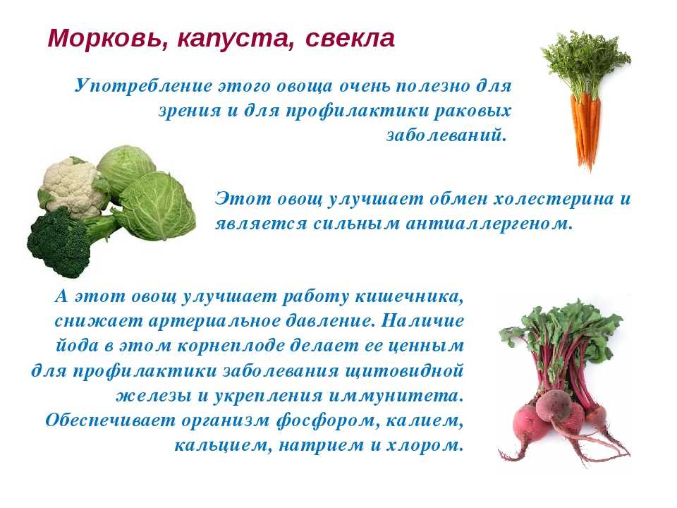 Советы, способы и рекомендации как хранить морковь