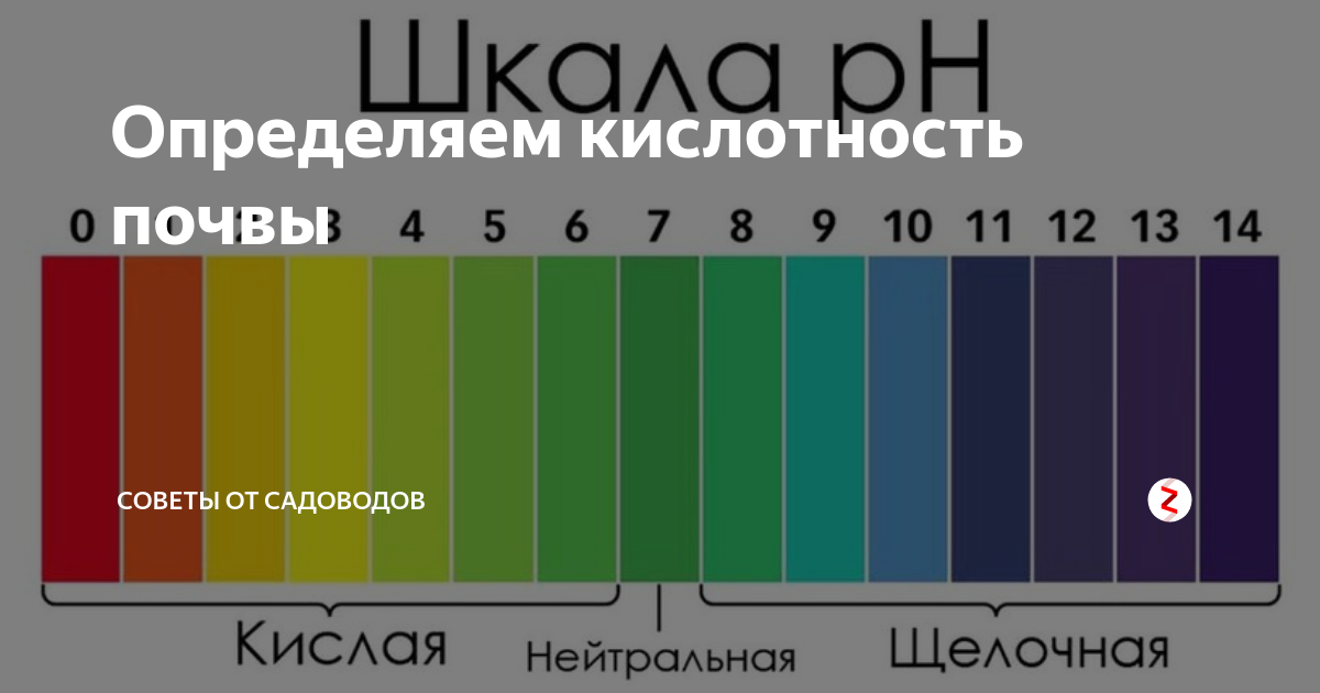 Подготовка почвы к посадке рассады. особенности выращивания томатов и помидор. | cельхозпортал