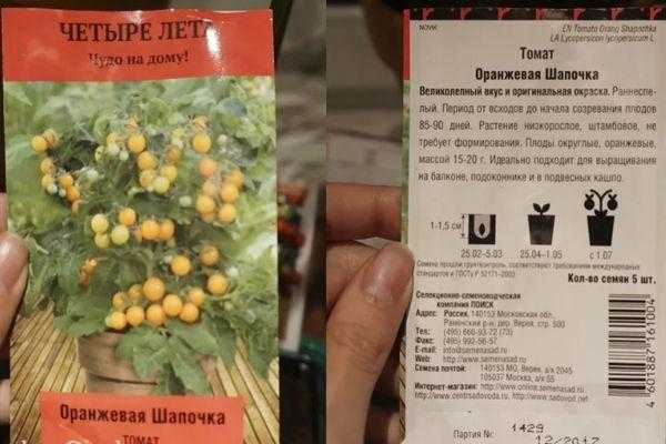 Томаты красная шапочка