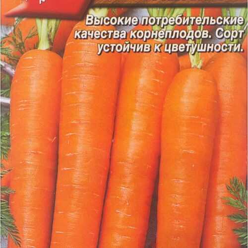 Поздние сорта моркови для хранения на зиму: озимая