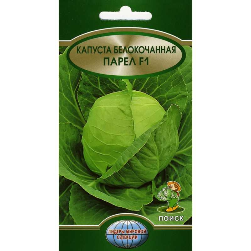 ✅ о капусте парел: описание раннего сорта, особенности выращивания и ухода