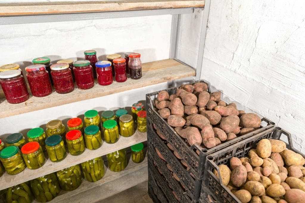 Можно ли хранить картошку в холодильнике в очищенном, вареном и жареном виде, сколько составляет срок и почему ей нельзя там долго лежать? русский фермер
