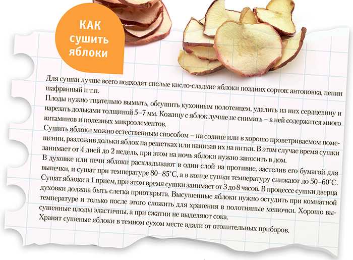 Сушка шиповника в духовке с конвекцией. как сушить шиповник. правила сушки и хранения. рецепты. способы сушки шиповника без духовки