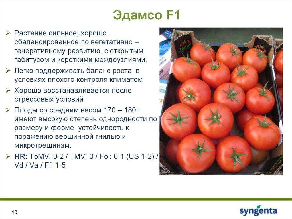 Томат титан: характеристика и описание сорта