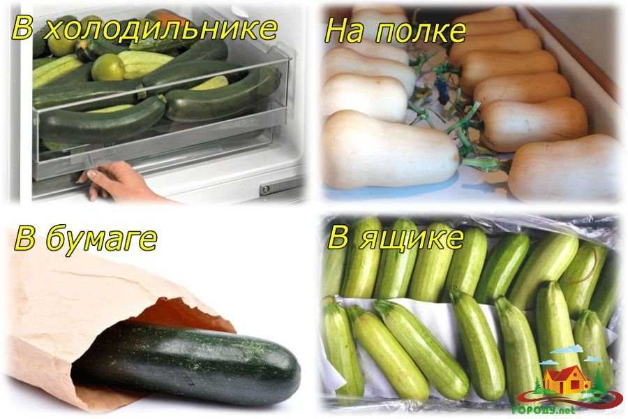 Как хранятся кабачки в зимнее время