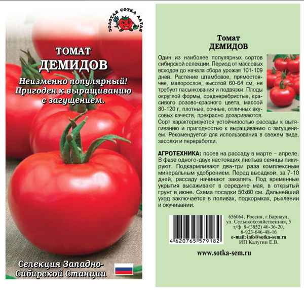 Мясистый, сладкий и урожайный томат — подробная характеристика сорта медвежья лапа