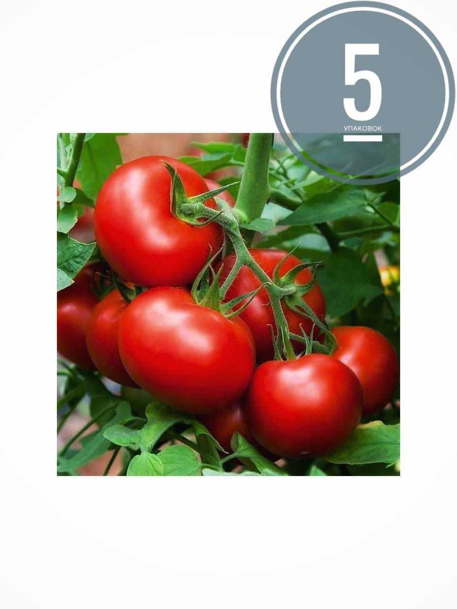 Семена томат «Волгоградский» 323