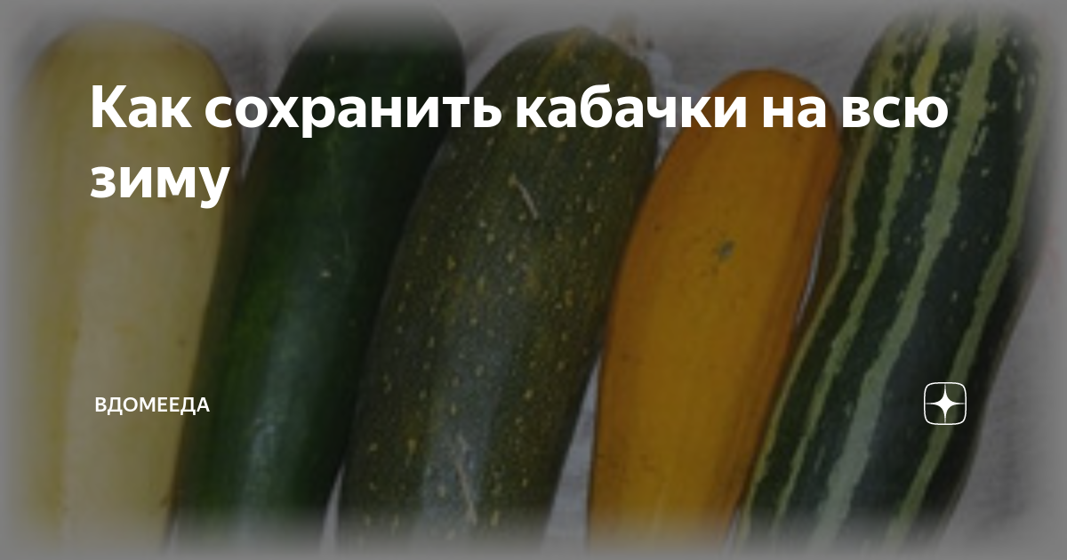 Как правильно хранить кабачки в домашних условиях в квартире