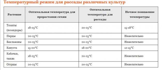 Температура для рассады томатов: оптимальные режим, при какой выращивать