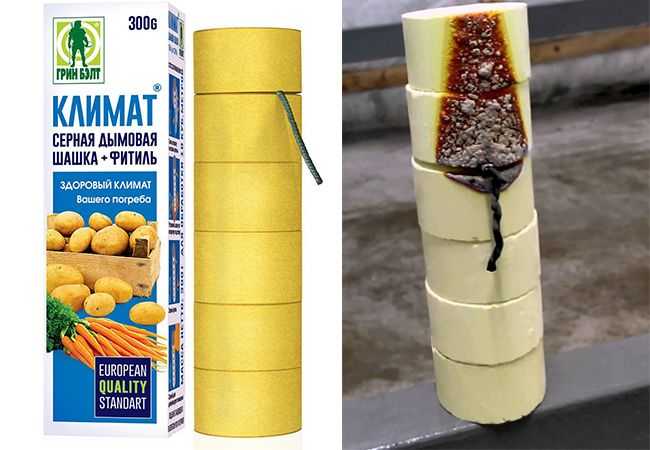 Слизни. как избавиться от слизней