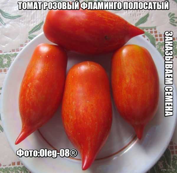 Сорт помидор розовый фламинго: урожайность и особенности выращивания