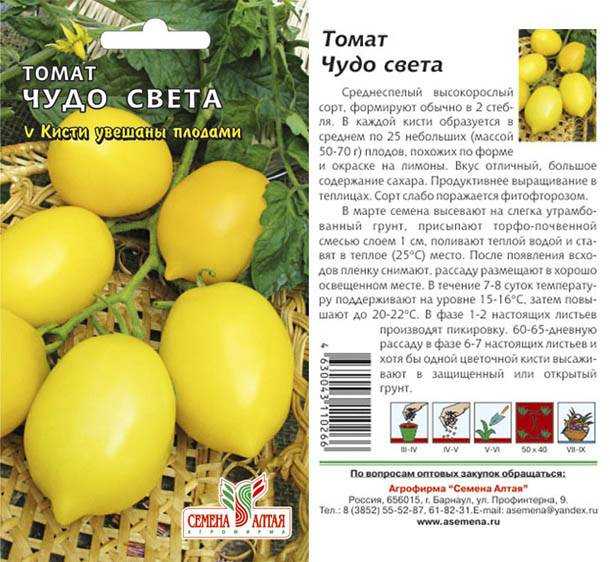 Томат сибирское чудо: характеристика и описание сорта, отзывы тех кто сажал помидоры об их урожайности, фото куста