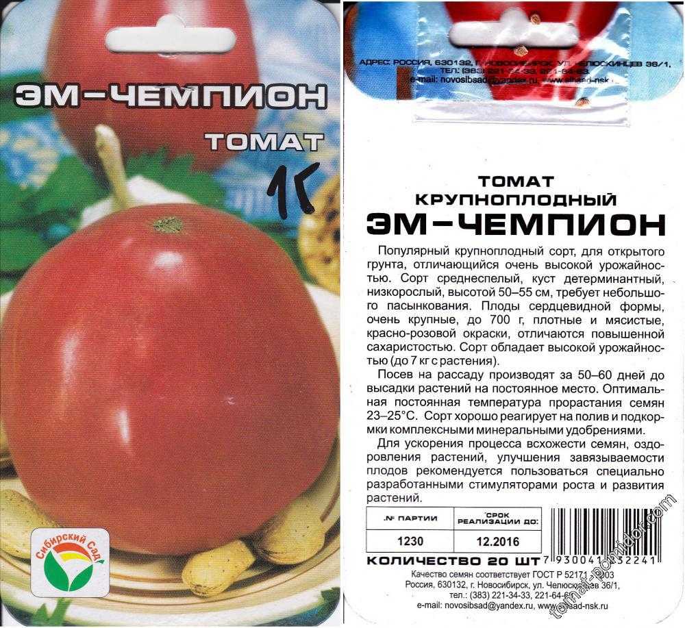 Томат "эм чемпион": описание, характеристика сорта, кто сажал, особенности помидоров русский фермер