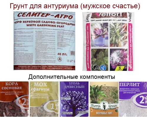 Земля для антуриума: состав грунта, готовим в домашних условиях или используем готовый